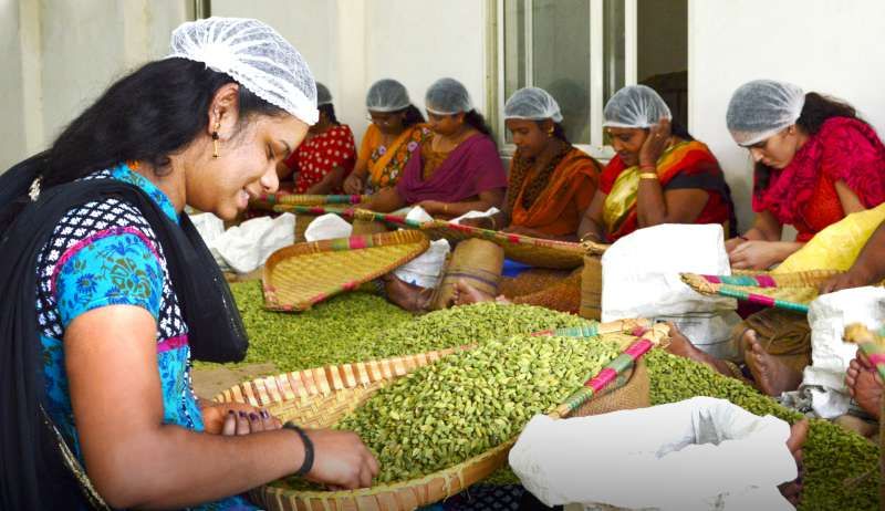 Workers sorting and grading coir products